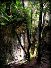 rovine maschio di lariano